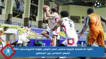 «قوة الانتصار» قائمة منتخب مصر لخوض بطولة الأفروباسكت 2025 تشعل الحماس بين الجماهير